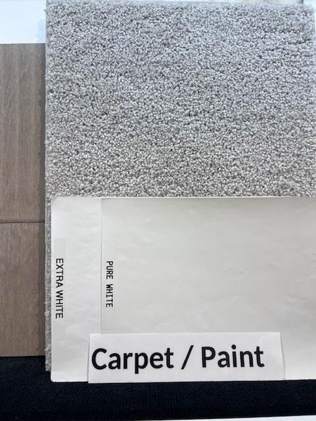 Carpet & Paint Selections Carpet & Paint Selections