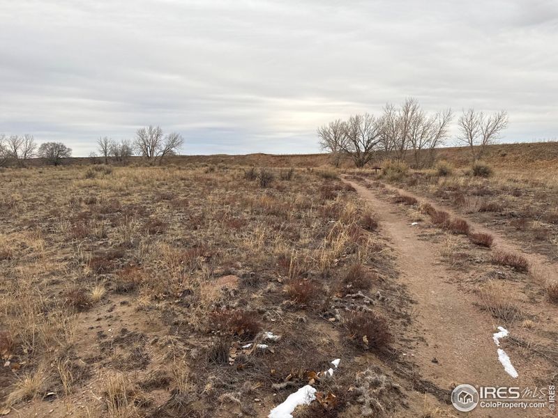 Site preparation for new homesites in , Nunn (Image 26).