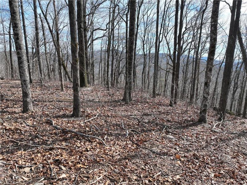 Image 41 of a home in .