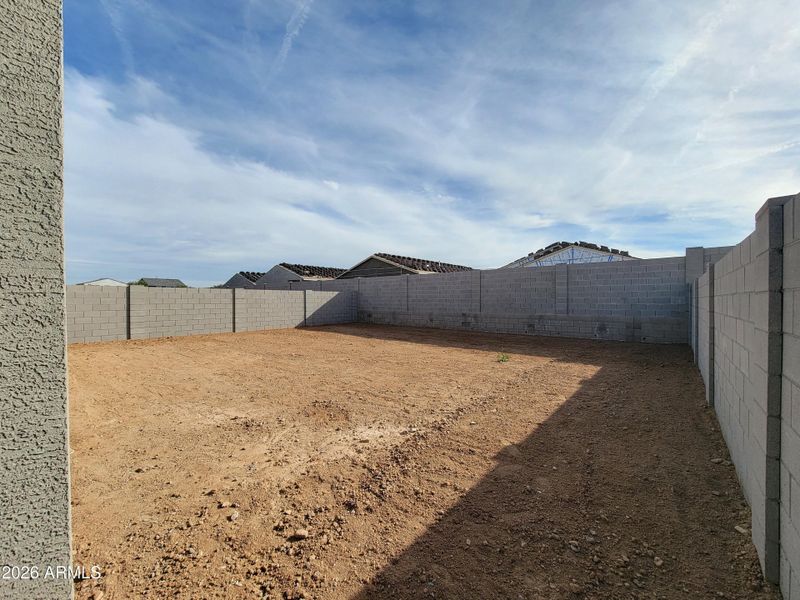 1000063524 1000063524