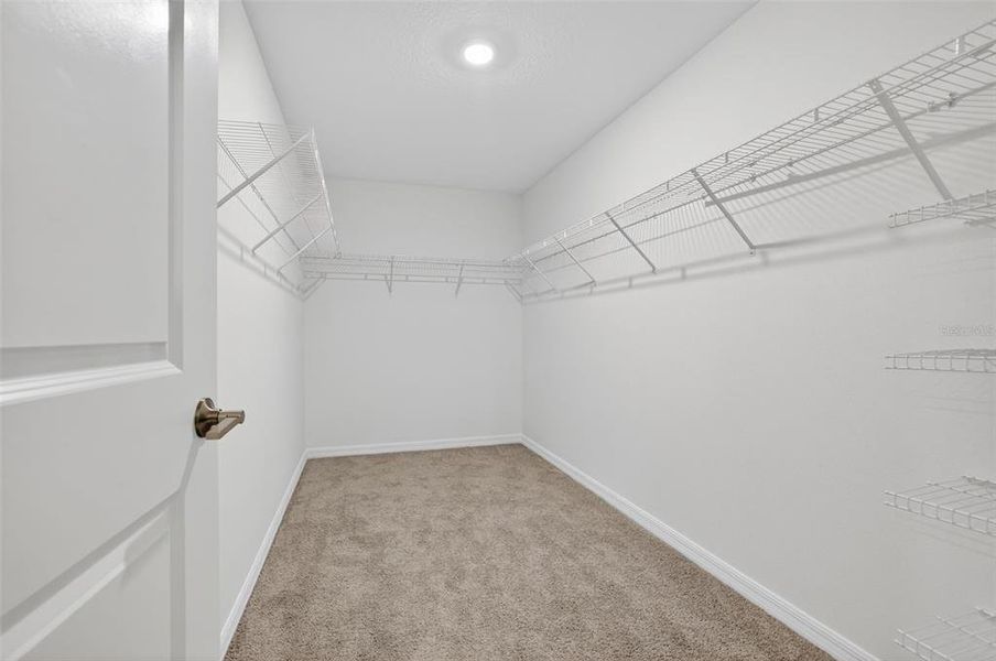 Spacious, unfurnished interior of a new home in , Riverview (Image 23). Spacious, unfurnished interior of a new home in , Riverview (Image 23).