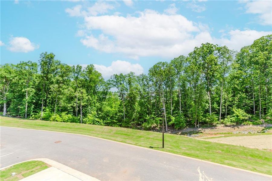 Natural landscape and outdoor views near Hillcrest Landing in Sugar Hill (Image 52). Natural landscape and outdoor views near Hillcrest Landing in Sugar Hill (Image 52).