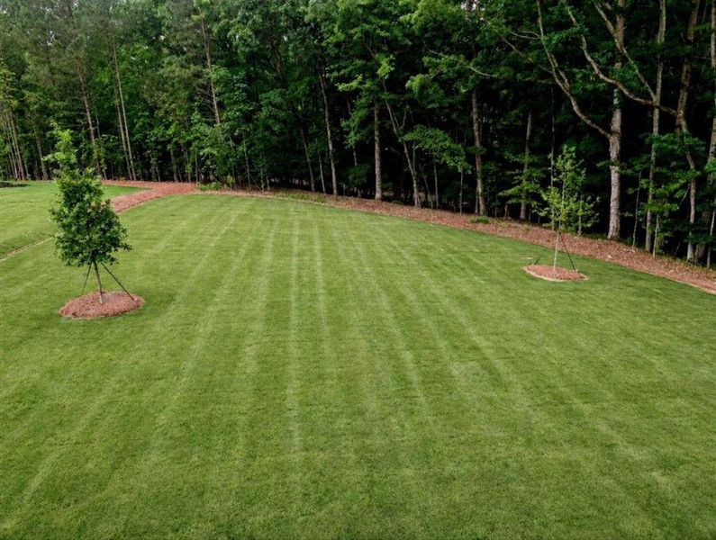 Natural landscape and outdoor views near White Post on Lake Lanier in Gainesville (Image 29).