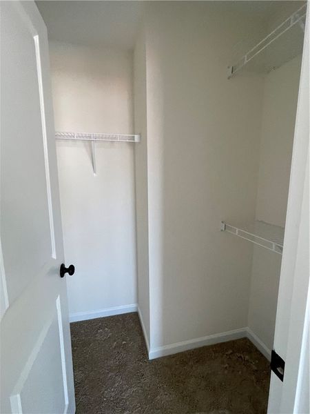 Spacious, unfurnished interior of a new home in Springwood Grove, Central (Image 6).