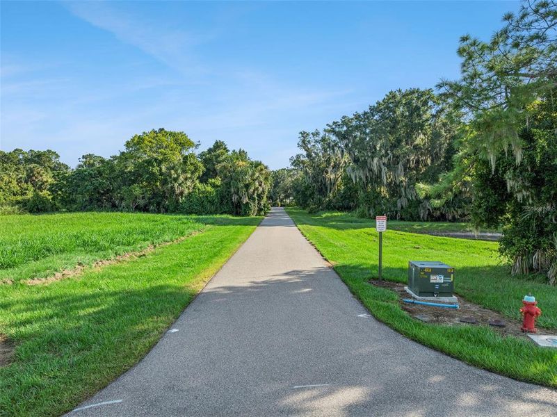 Natural landscape and outdoor views near in Tavares (Image 19). Natural landscape and outdoor views near in Tavares (Image 19).