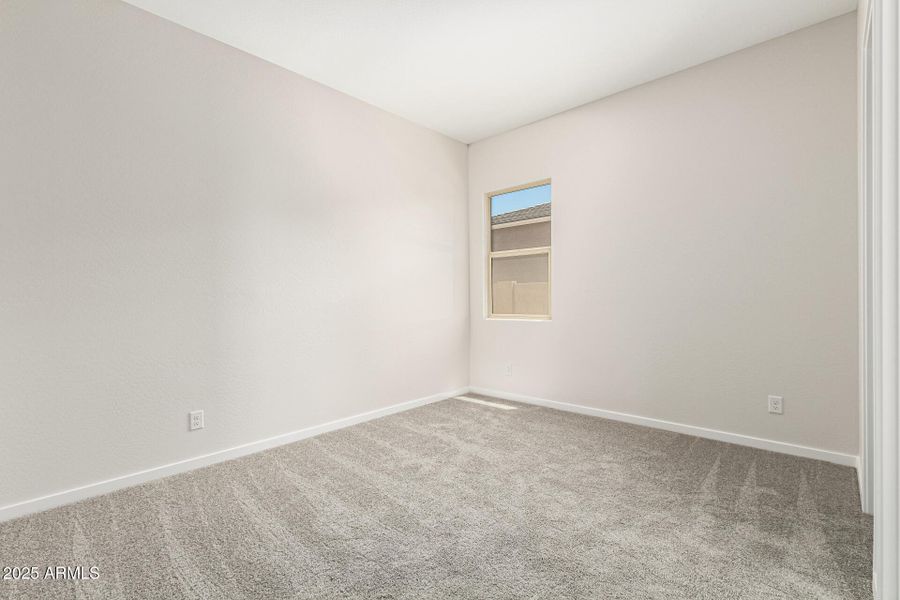 25-Hollyhock 25-Hollyhock