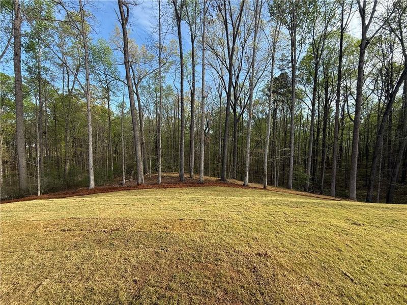 Natural landscape and outdoor views near  in Pendergrass (Image 42).