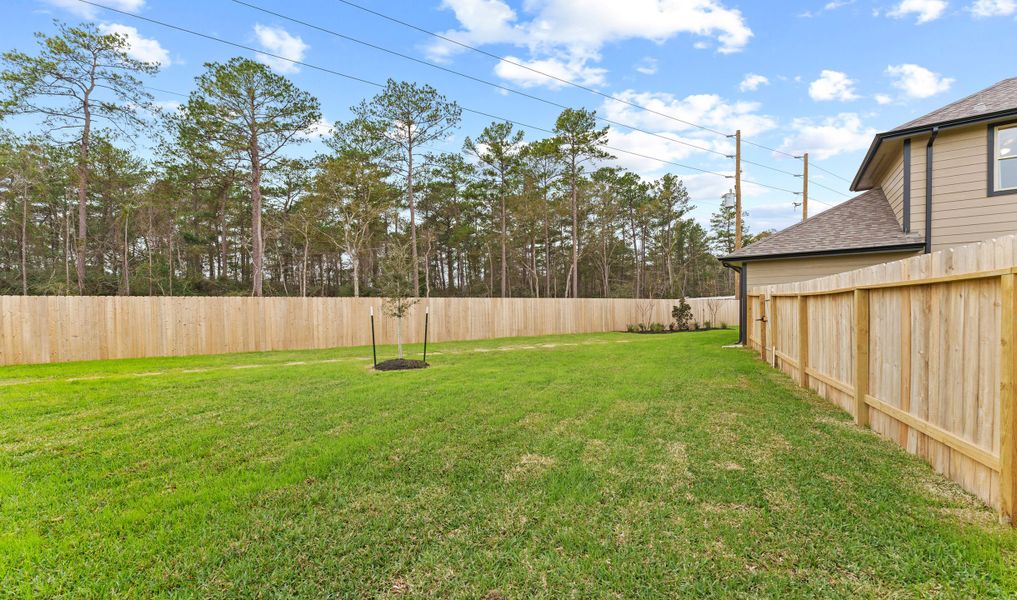 Palatial backyard