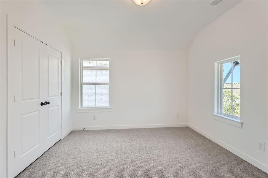 Carpeted empty room with lofted ceiling and a healthy amount of sunlight