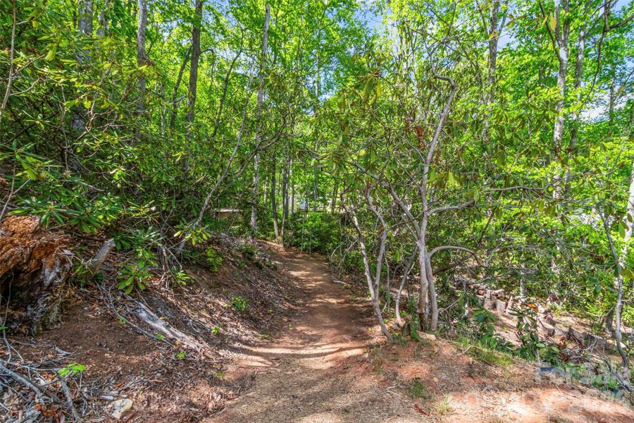 Natural landscape and outdoor views near  in Burnsville (Image 41).