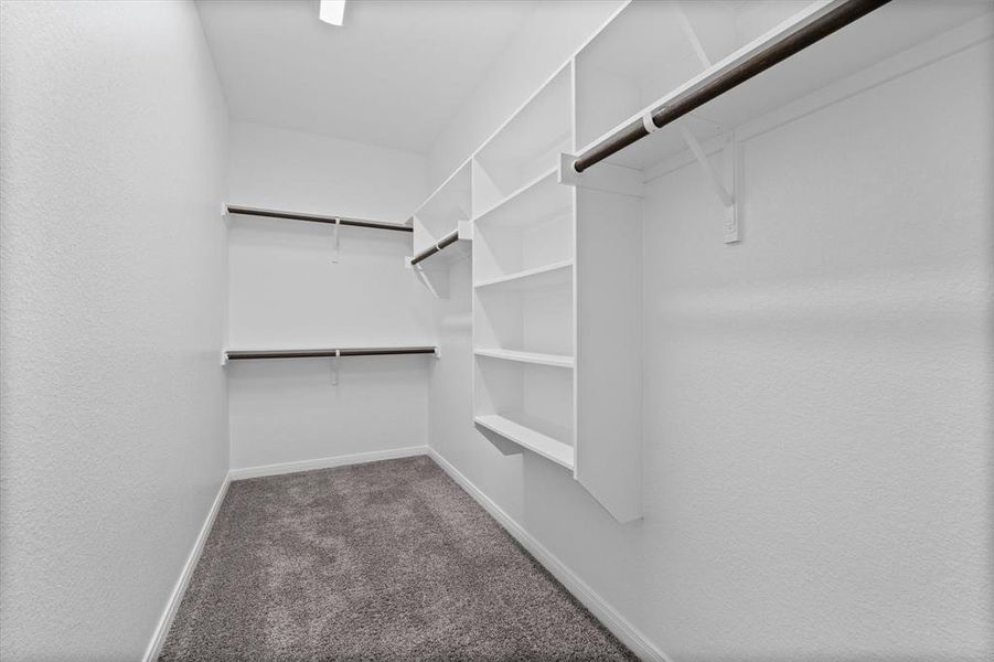 Walk in closet featuring dark carpet Walk in closet featuring dark carpet