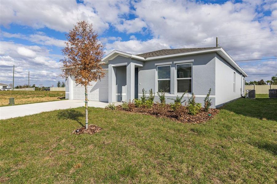 Image 8 of a home in The Grove at Scenic Terrace.