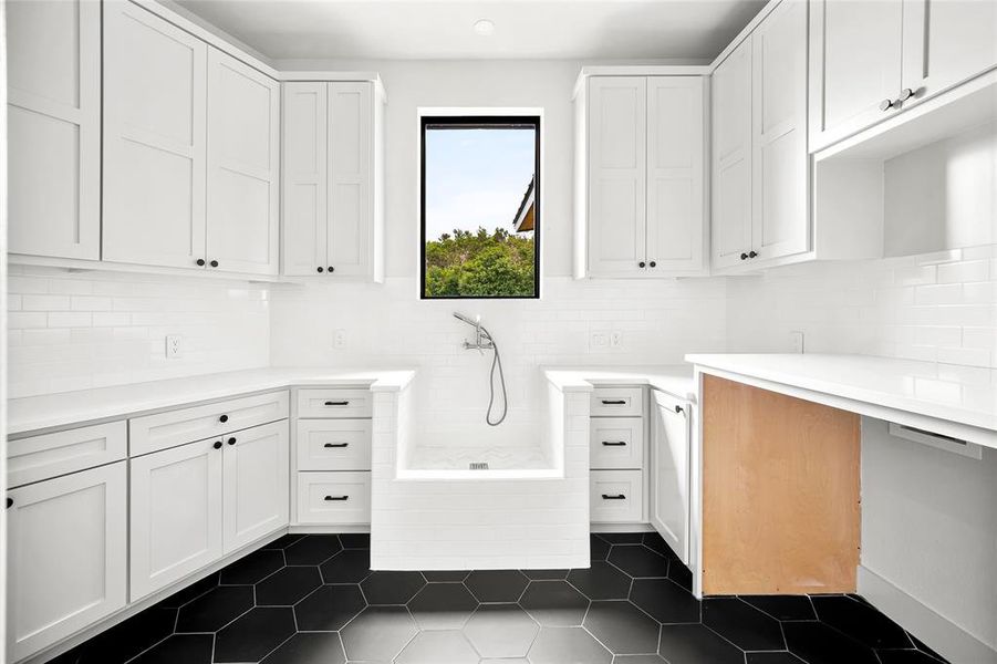 Utility Room with Dog Wash