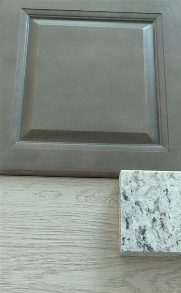 Close-up of interior finishes inside a home in Sunset Landing, Spring Hill (Image 3).