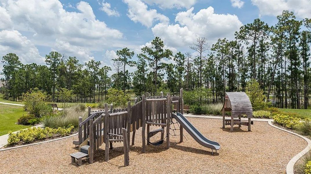 Community amenities in Harvest at Ovation, Winter Garden (Image 36).