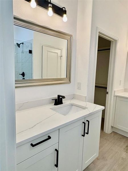 Full bathroom featuring vanity, a walk in closet, light wood-type flooring, and a shower stall