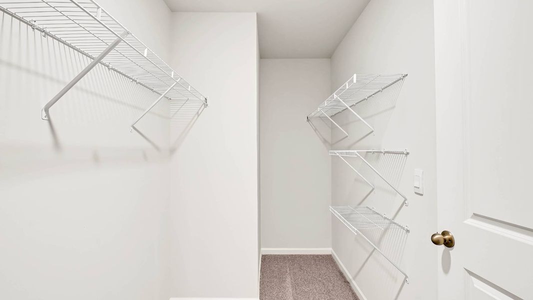 Spacious, unfurnished interior of a new home in Sidbury Station, Castle Hayne (Image 31).