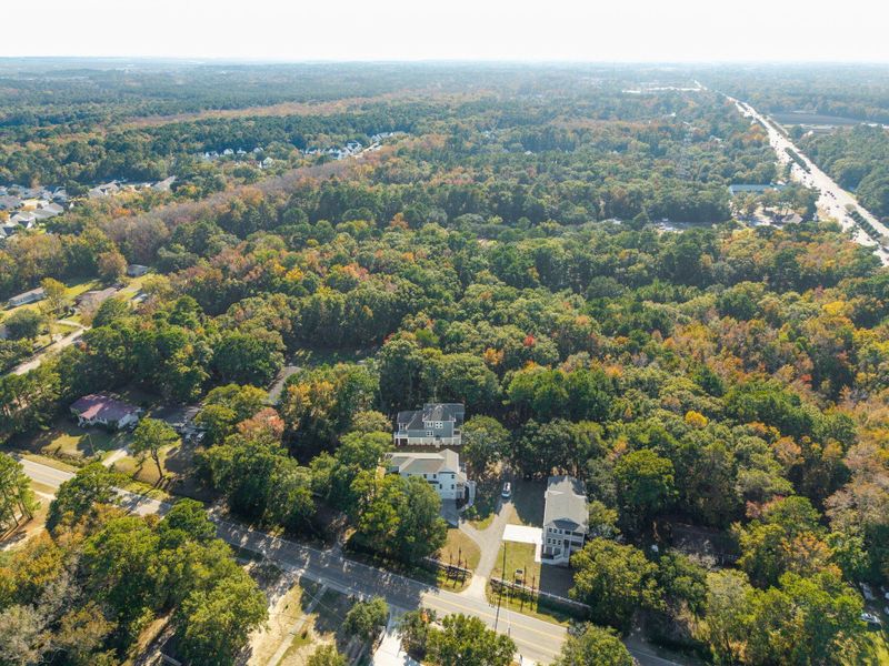 Natural landscape and outdoor views near  in Mount Pleasant (Image 89).