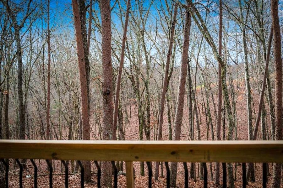 Natural landscape and outdoor views near in Blue Ridge (Image 44). Natural landscape and outdoor views near in Blue Ridge (Image 44).
