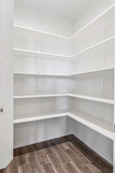 Ample shelving in this well-appointed pantry offers abundant storage and organization.