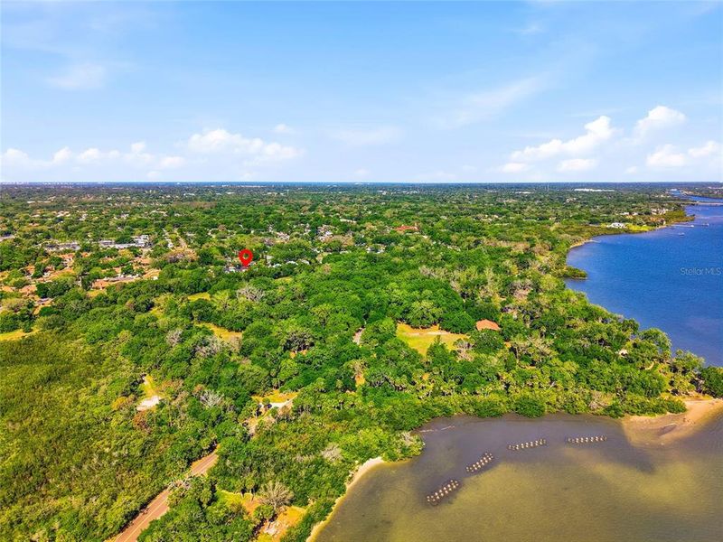 Natural landscape and outdoor views near  in Safety Harbor (Image 44).