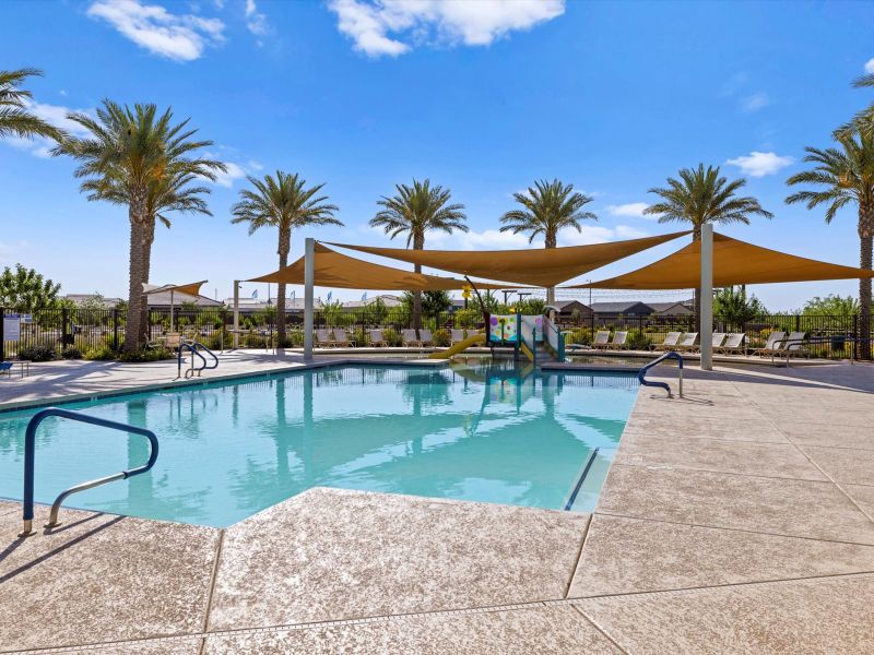 Community amenities in Bella Vista Farms Reserve Series, San Tan Valley (Image 27).