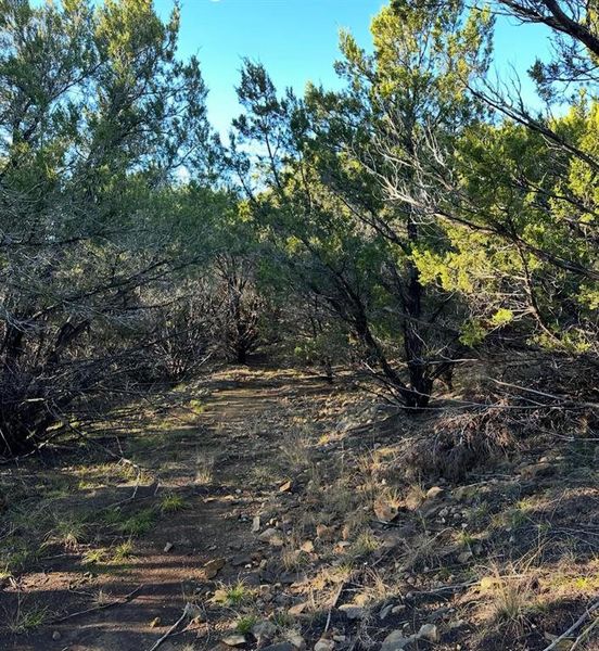 Natural landscape and outdoor views near  in Breckenridge (Image 23).