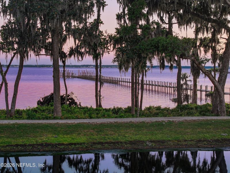 Natural landscape and outdoor views near  in St. Johns (Image 66).