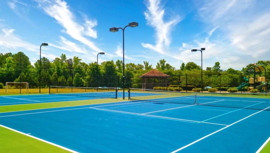 Community amenities in Heritage Pointe, Senoia (Image 43).