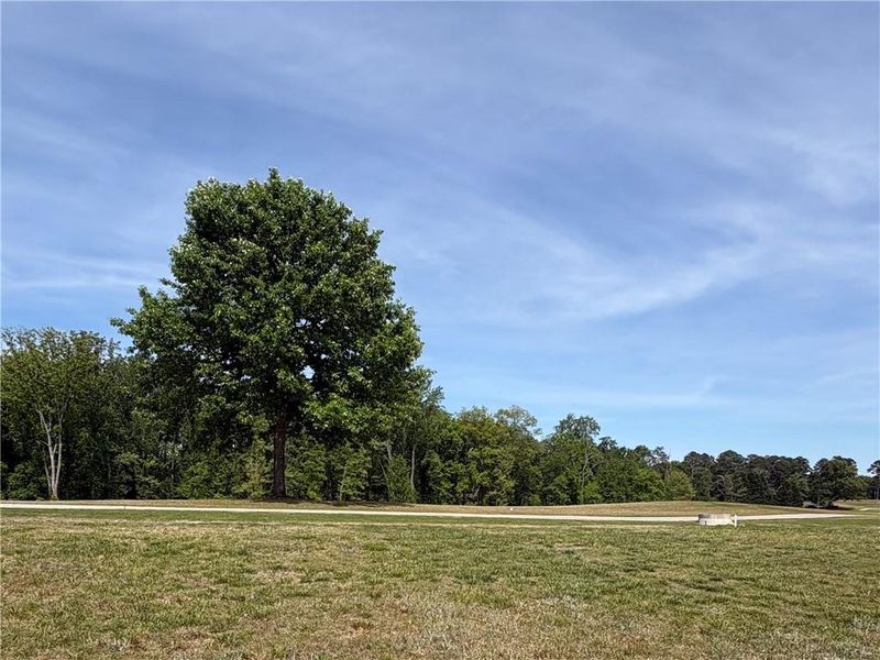 Natural landscape and outdoor views near in Gainesville (Image 26). Natural landscape and outdoor views near in Gainesville (Image 26).
