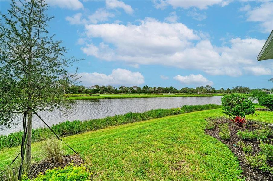 Natural landscape and outdoor views near Esplanade at Azario Lakewood Ranch in Lakewood Ranch (Image 52). Natural landscape and outdoor views near Esplanade at Azario Lakewood Ranch in Lakewood Ranch (Image 52).
