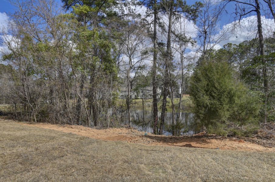 Natural landscape and outdoor views near Clubside Reserve at Summerlake in Lexington (Image 49).