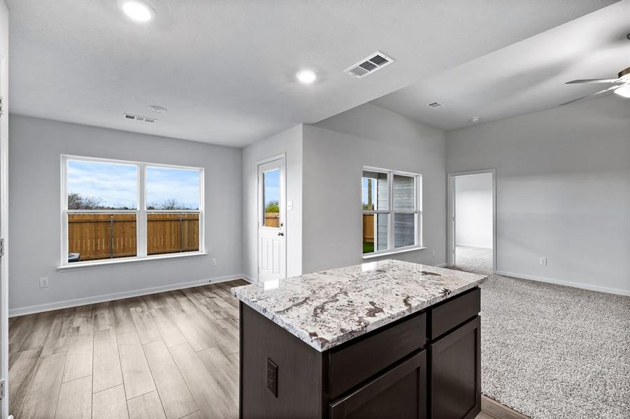 Kitchen featuring plenty of natural light, light stone countertops, light colored carpet, and ceiling fan