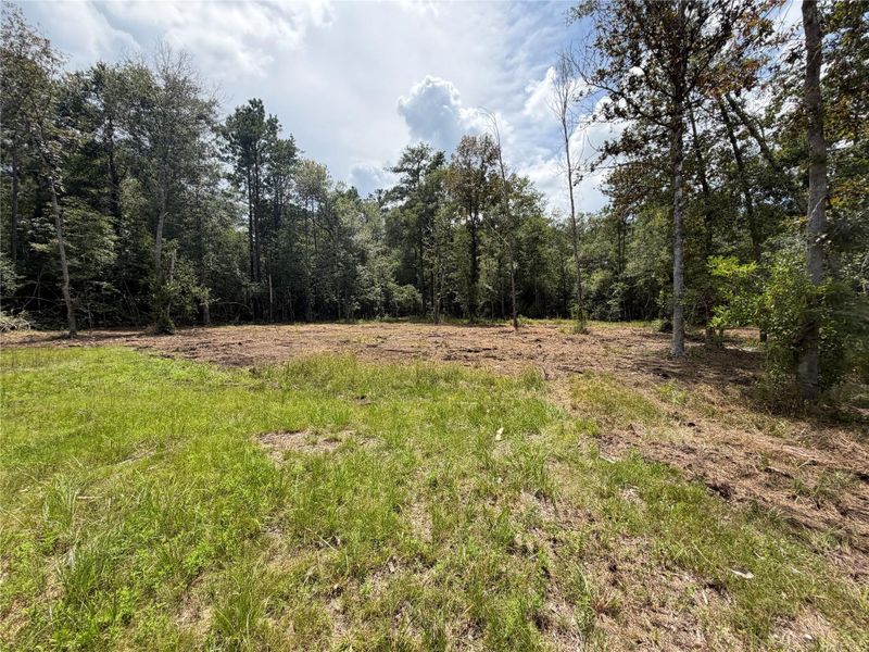 Natural landscape and outdoor views near in Kirbyville (Image 46). Natural landscape and outdoor views near in Kirbyville (Image 46).