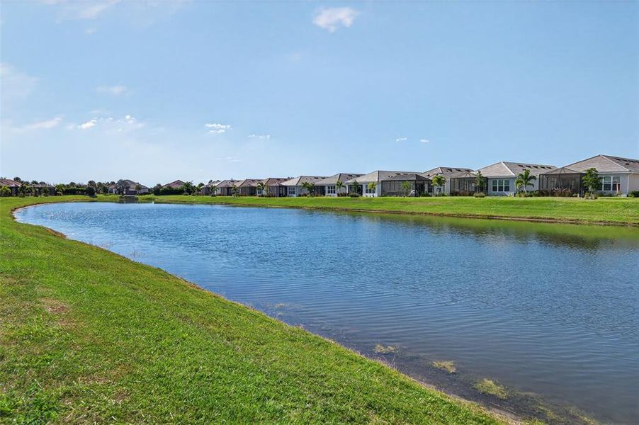 Natural landscape and outdoor views near in Bradenton (Image 61). Natural landscape and outdoor views near in Bradenton (Image 61).