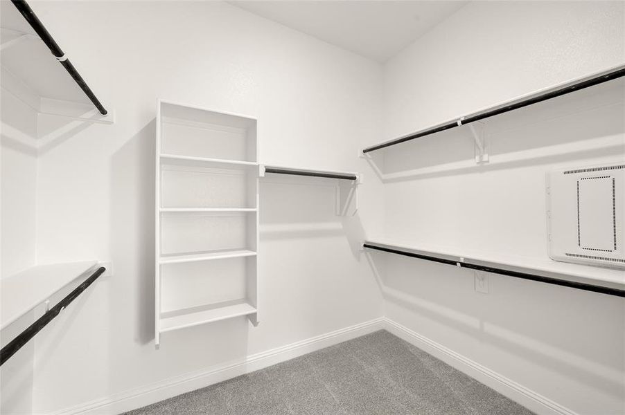 Walk in closet featuring carpet floors
