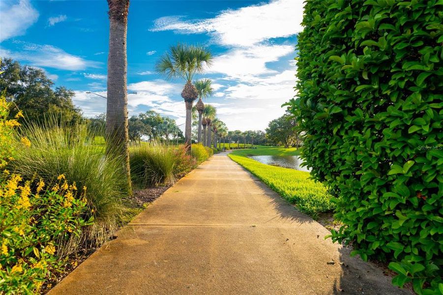 Natural landscape and outdoor views near  in Weeki Wachee (Image 60).