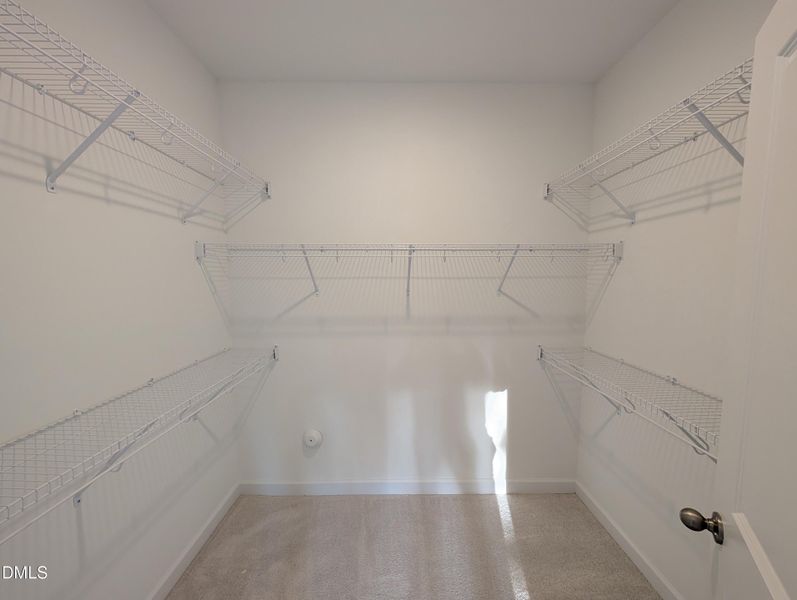 PXL_20260421_224843101.MP