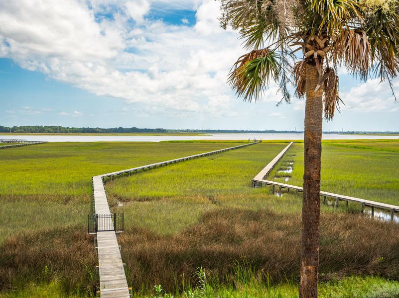 Natural landscape and outdoor views near in Charleston (Image 73). Natural landscape and outdoor views near in Charleston (Image 73).