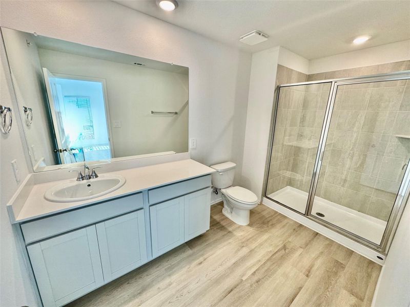 Full bathroom featuring vanity, a shower stall, and light wood-type flooring