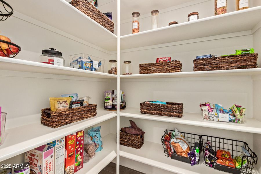 19 - Hummingbird 19 - Hummingbird