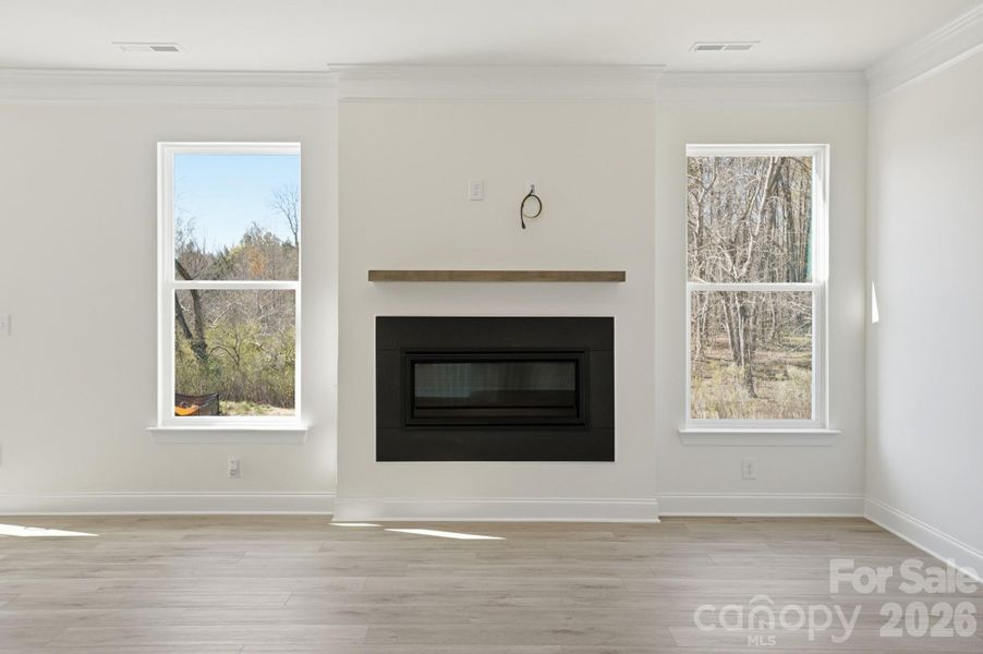 Cosmo Fireplace in Family Room