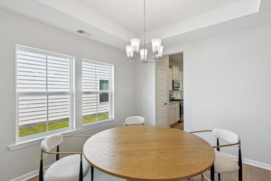 Furnished interior view inside a new home in Saint John's Lake: Arbor Collection, Johns Island (Image 54).