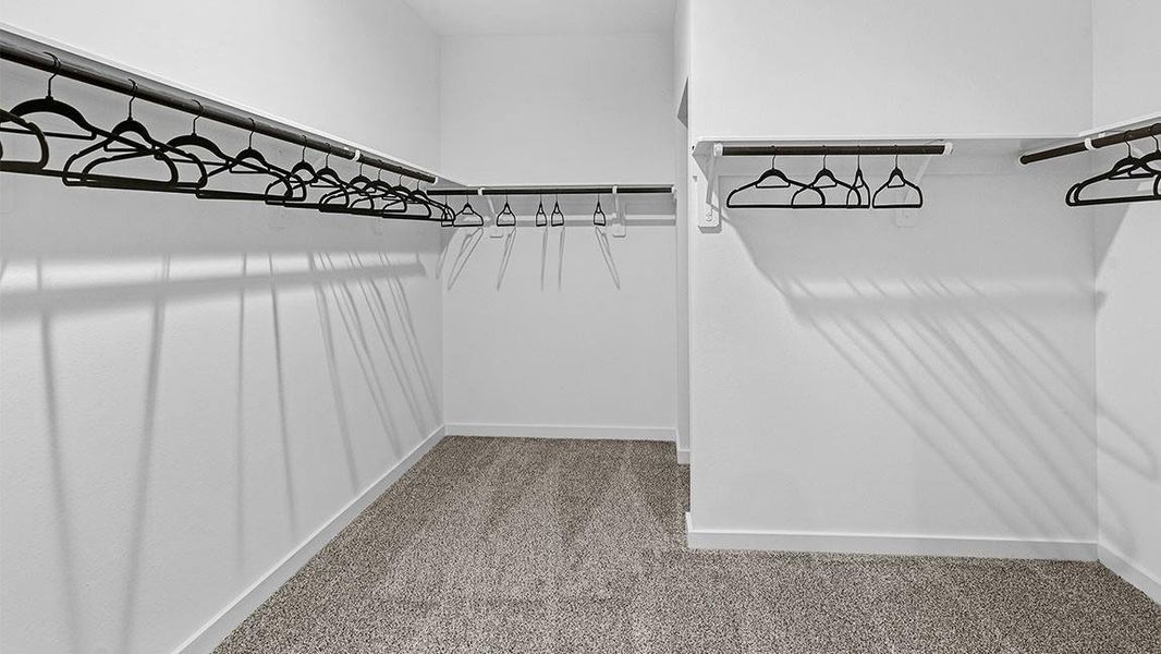 *Images and 3D tour are for illustration only and options may vary from home as built.