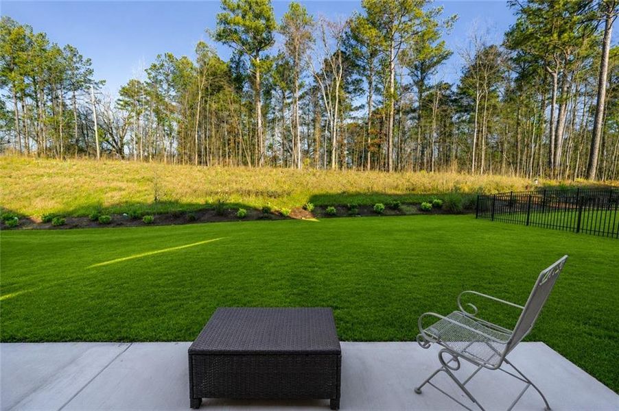 Exterior details and patio area of a home in , Hoschton (Image 29).
