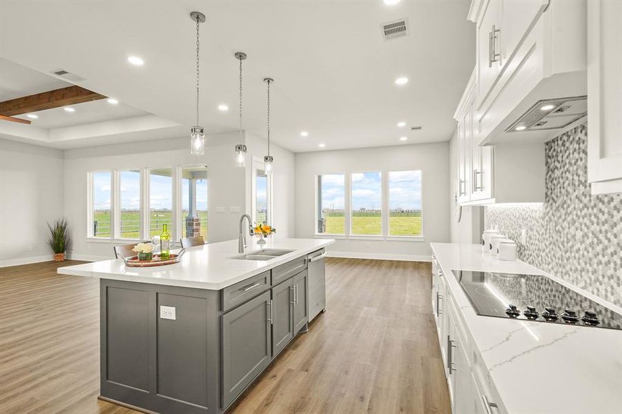 The Kitchen comes equipped with GE appliances including a 5-burner electric range, built-in double oven with convection, and a whisper quiet dishwasher. The closed door straight ahead leads to an impressive, oversized Pantry.