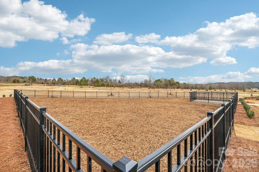 Community amenities in Clark Creek Landing, Lincolnton (Image 31).