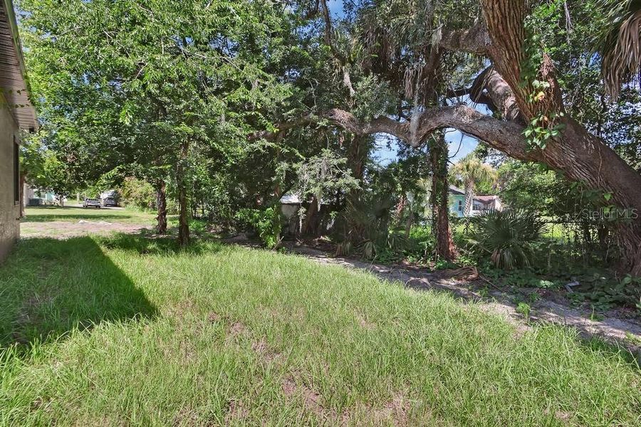 Natural landscape and outdoor views near  in Daytona Beach (Image 29).