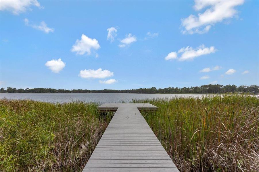 Natural landscape and outdoor views near in Land O' Lakes (Image 38). Natural landscape and outdoor views near in Land O' Lakes (Image 38).