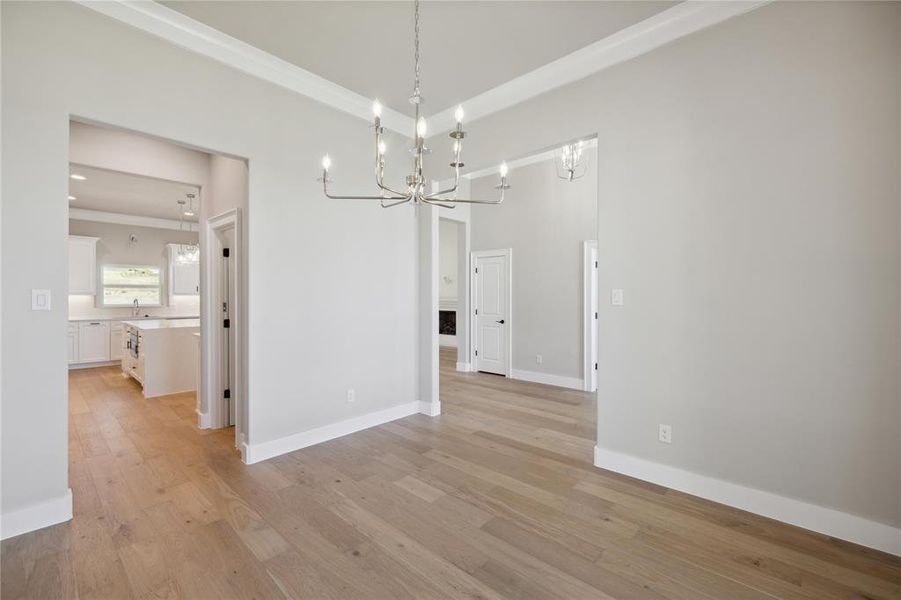 Unfurnished dining area with light wood-type flooring, sink, and crown molding